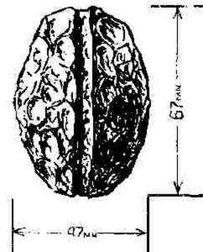 Артефакты, которые могли оставить на земле пришельцы