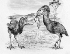 Они вымерли? Скажем этим жутким тварям спасибо за это