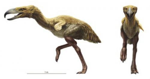 Они вымерли? Скажем этим жутким тварям спасибо за это