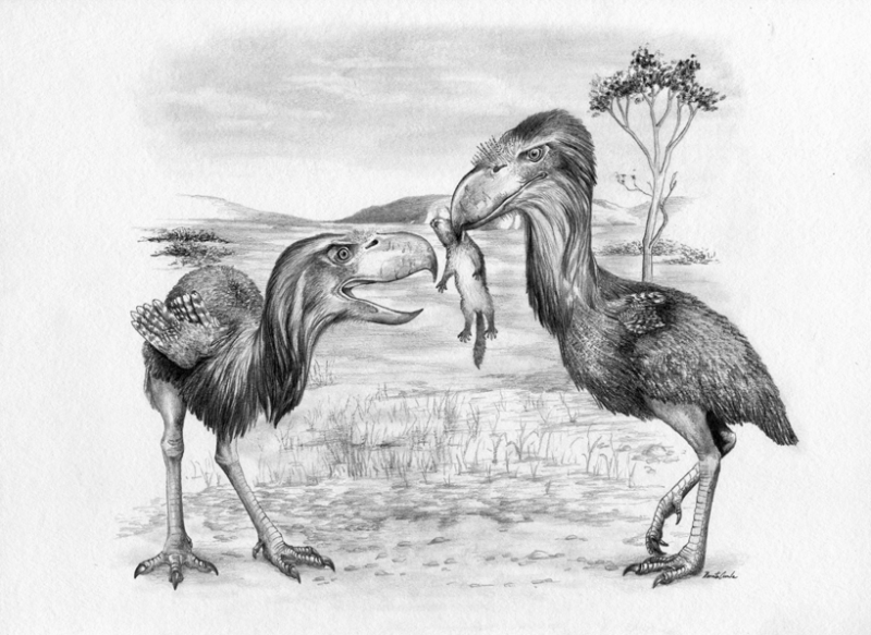 Они вымерли? Скажем этим жутким тварям спасибо за это