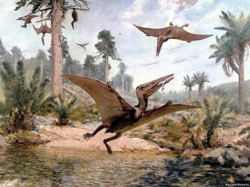 Они вымерли? Скажем этим жутким тварям спасибо за это