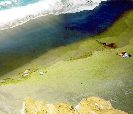 Самые удивительные пляжи планеты