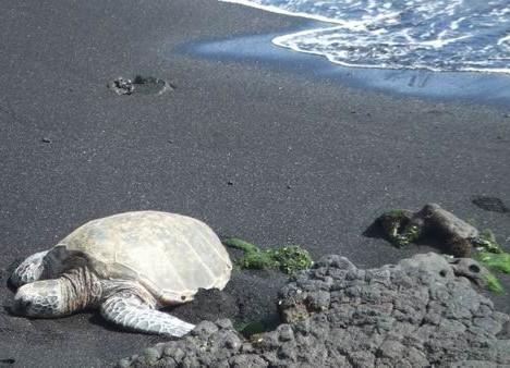 Самые удивительные пляжи планеты