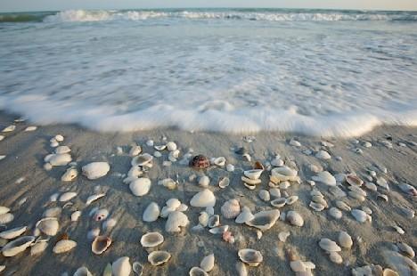 Самые удивительные пляжи планеты