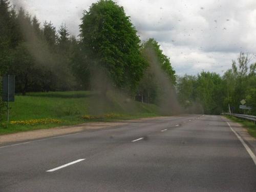 Нашествие комаров на деревню в Беларуси