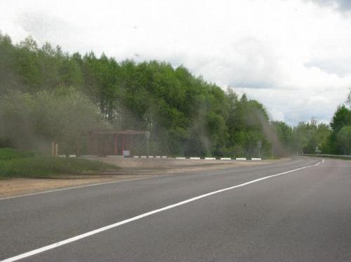 Нашествие комаров на деревню в Беларуси