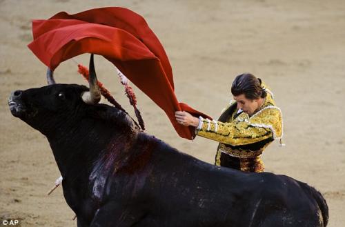 Испанского матадора забодал бык