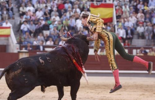 Испанского матадора забодал бык