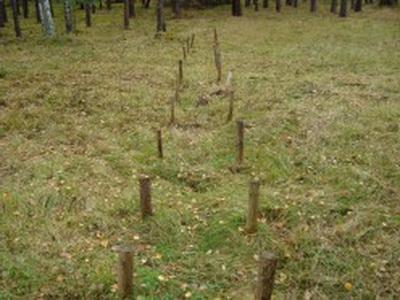 Топ-10  дерзких побегов из самых охраняемых тюрем мира