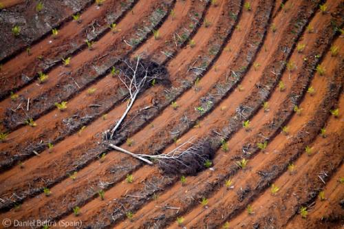 Лучшие снимки фотографов-натуралистов 2010