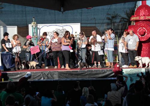 Самая страшная собака планеты