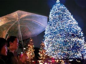 Главные елки мира