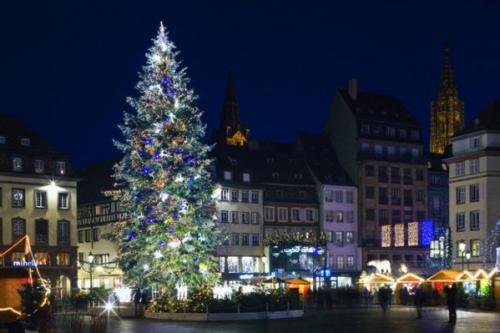 Главные елки мира