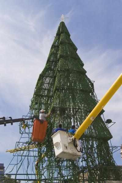 Главные елки мира