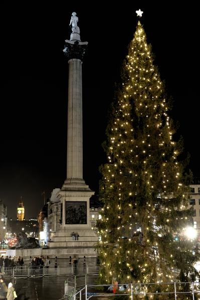 Главные елки мира