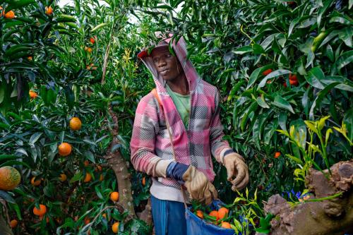 Лучшие фотографии National Geographic 2019