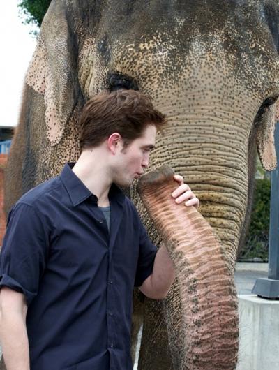 Самые страстные и необычные звездные поцелуи. Часть 1