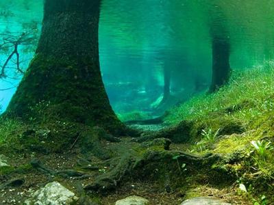 Достопримечательность Австрии — необычное зеленое озеро