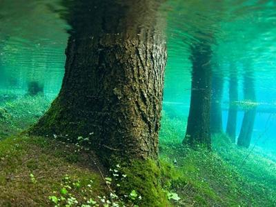 Достопримечательность Австрии — необычное зеленое озеро