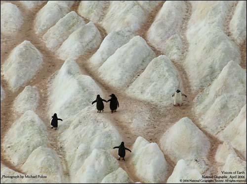 Лучшие фотографии от National Geographic 2006г