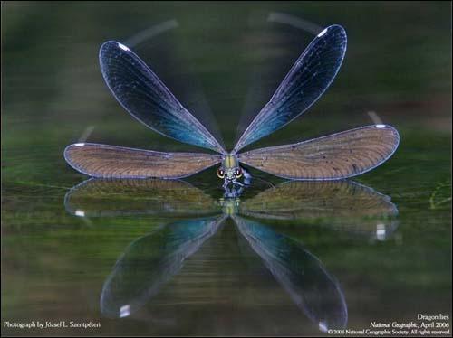 Лучшие фотографии от National Geographic 2006г