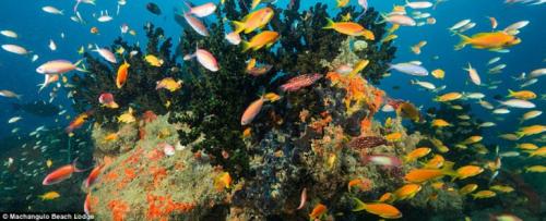 Красивые места на Земле, где мало туристов