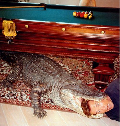 Редкие фотографии всемирно известных звезд. Часть 13