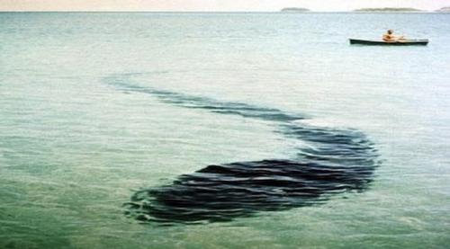 Ужасающие неизвестные науке создания