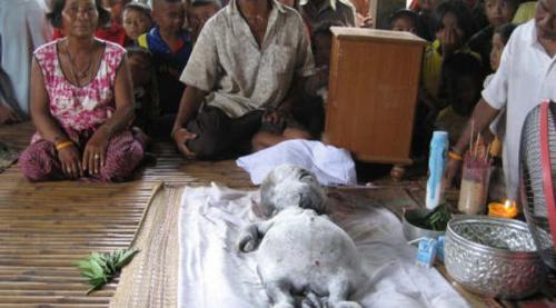 Ужасающие неизвестные науке создания