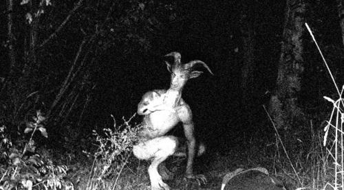 Ужасающие неизвестные науке создания