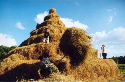 Полумост дарит надежду российской глубинке