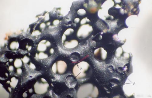 Мистические загадки прошлого: нераскрытые тайны ХХ века