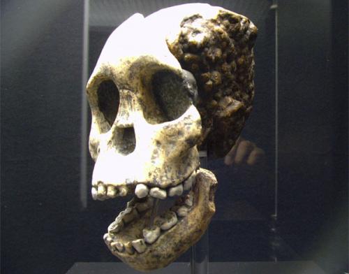 Мистические загадки прошлого: нераскрытые тайны ХХ века