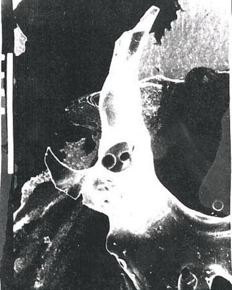 Мистические загадки прошлого: нераскрытые тайны ХХ века