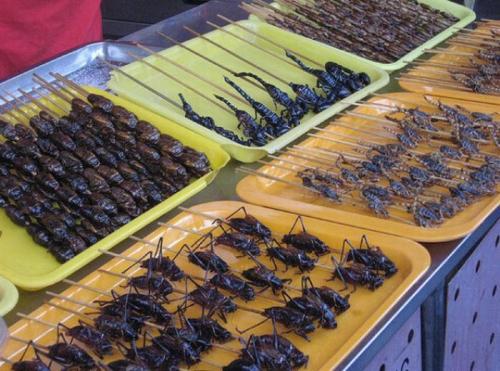 Экзотический фаст-фуд на улицах мира