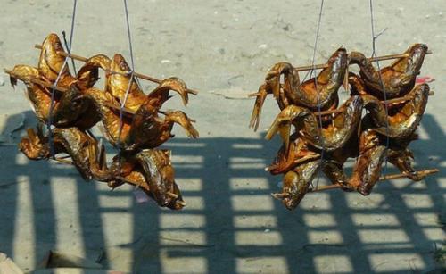 Экзотический фаст-фуд на улицах мира