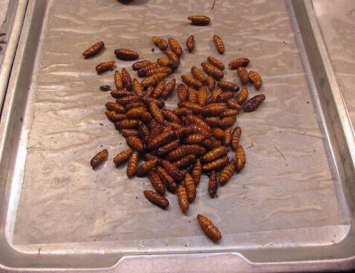 Экзотический фаст-фуд на улицах мира