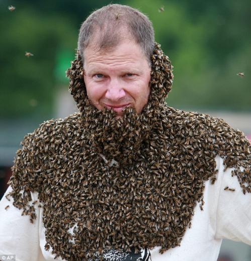 Пчеловоды Канады выращивают бороды… из пчёл