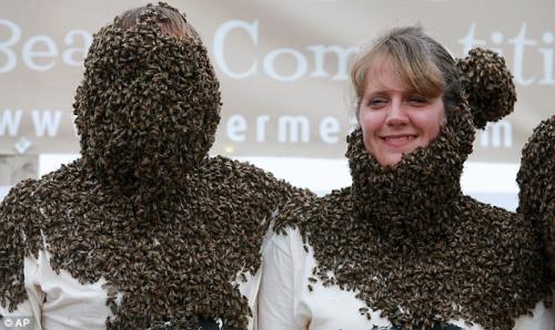 Пчеловоды Канады выращивают бороды… из пчёл