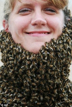 Пчеловоды Канады выращивают бороды… из пчёл