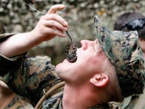 На военных учениях морпехи ели скорпионов