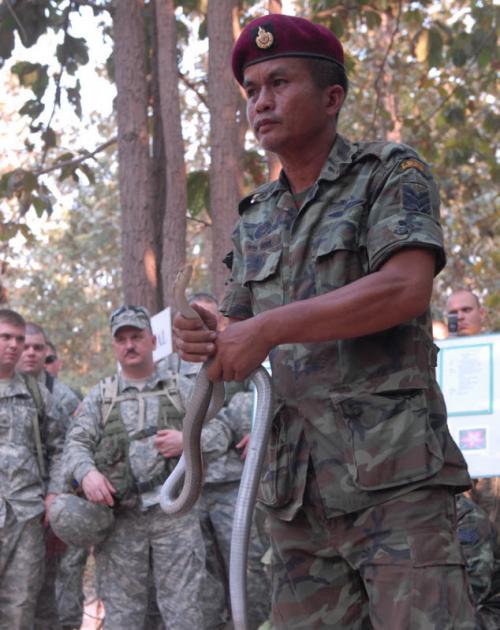 На военных учениях морпехи ели скорпионов