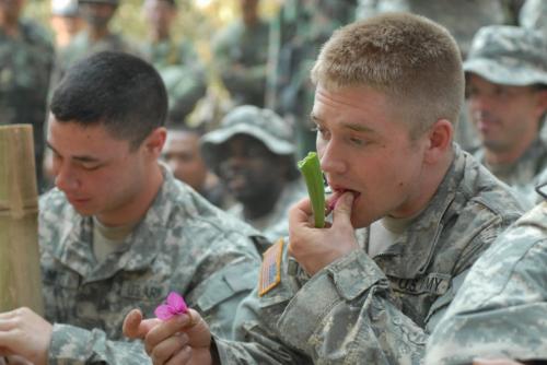 На военных учениях морпехи ели скорпионов