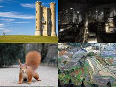 Лучшие фотографии WikiMedia  за 2007  год