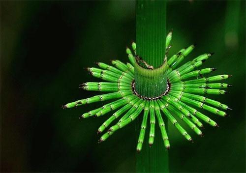 Лучшие фотографии WikiMedia  за 2007  год