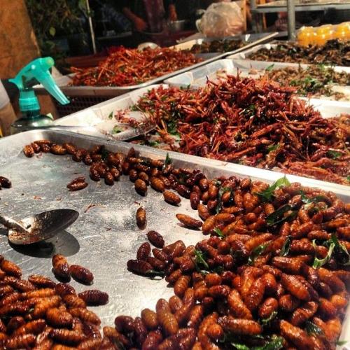 В Instagram по секрету всему свету: что едят знаменитости