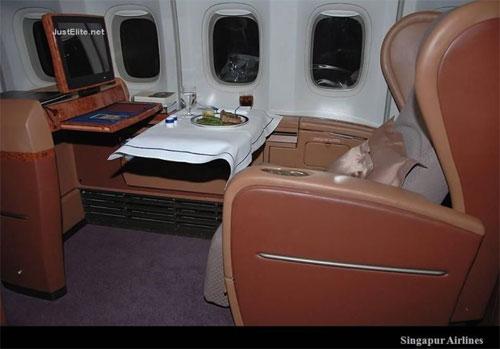 Роскошь в воздухе: первый раз – в первый-класс!