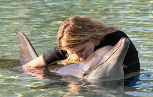 Дельфин и русалка: Миша Бартон целовалась с водным млекопитающим