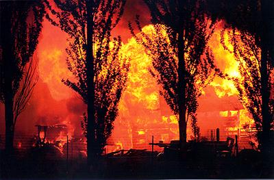 Лучшие фото мира, удостоенные «Пулитцеровской премии»