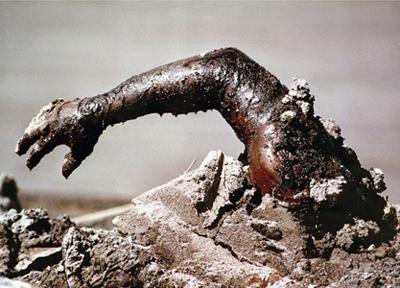 Лучшие фото мира, удостоенные «Пулитцеровской премии»